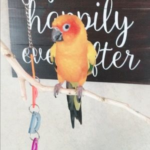 Meet your Posher, Jamie